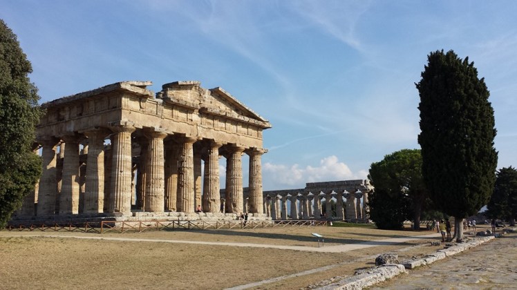 14212139_10210771016052697_8550142138791485445_n