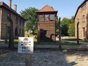 auschwitz